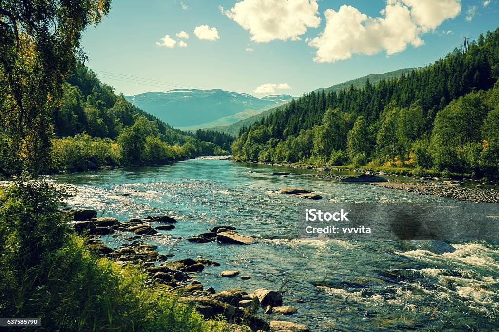 Río de montaña en otoño. Noruega - Foto de stock de Río libre de derechos