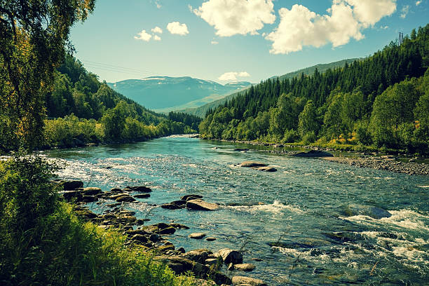 rio de montanha no outono. noruega - river view imagens e fotografias de stock