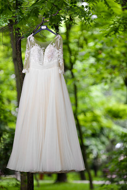 istock Wedding dress hanging in tree in natural light 637587348