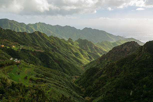 istock Road TF12 Anaga Rural Park - ancient forest on Tenerife 637587682