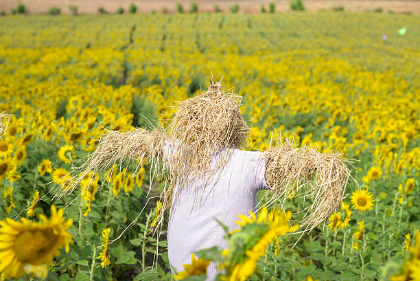 Rear view of a mature woman contemplating on a community garden