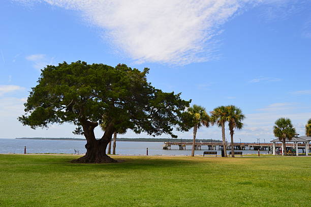 istock Pier at St. Simon's Island 637593350