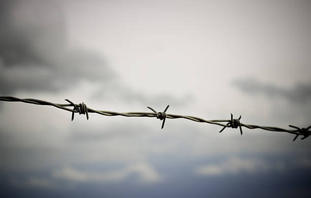 istock Silhouette of barbed wire 637595362