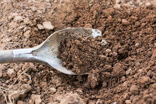 istock Shovel in the soil 637596114