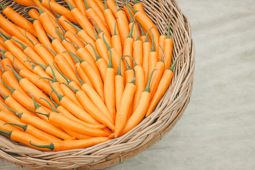 yellow chilli peppers in the basket are from the organic farm