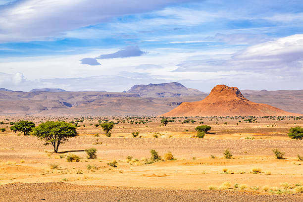 istock Typical landscape of southern Morocco. 637602510