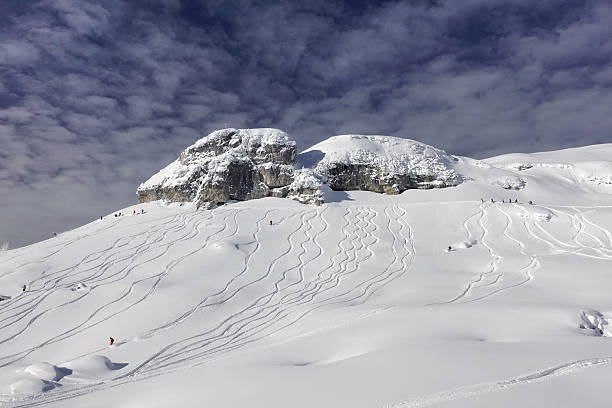 istock Freeriding in fresh Powder Snow, Snowboard, Ski, Austrian Alps 637602644