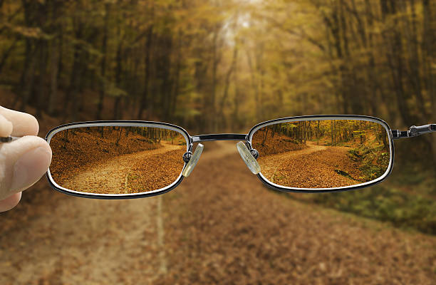 istock clear vision of a autumn forest path 637609766