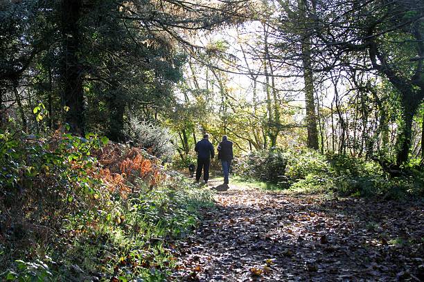 istock back view of two men on sunlit country path 637614704
