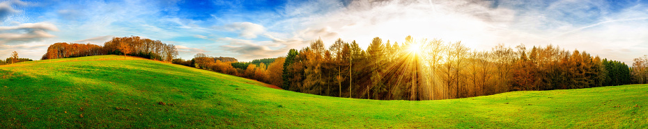Panorama of a green meadow with sun and forest in the background