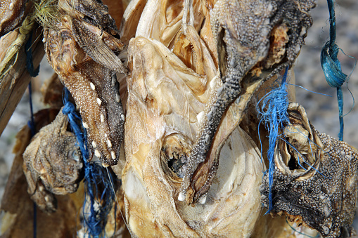 Stockfish in Iceland
