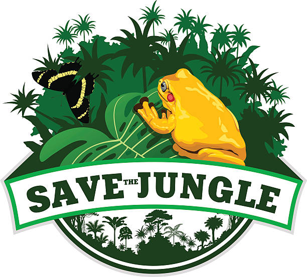 illustrations, cliparts, dessins animés et icônes de vector jungle emblem avec grenouille et papillon - safari animals wild animals animals and pets reptile