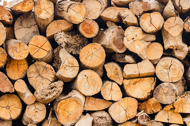 istock Stock pyre dry for fuel. 637618092