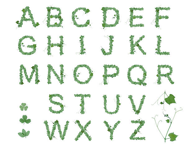 istock Alphabet letters ABC from the leaves in Patricks day 637619698