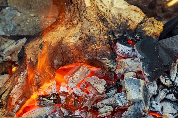 istock Burning firewood in the fireplace closeup, glowing logs, fire and 637621344