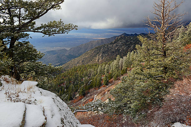 Vibrant colors of the Sandia Mountains, New Mexico, USA Vibrant colors of Alpine forest landscape with snow, Sandia Mountains, New Mexico, USA santa fe new mexico mountains stock pictures, royalty-free photos & images
