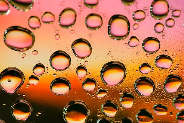 Photo of Drops of water on plastic
