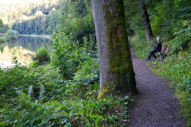 istock Old mossy tree and senior sitting on a bench 637622656