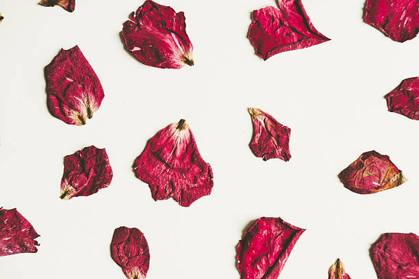 17,100+ Dried Flower Petals Stock Photos, Pictures & Royalty-Free Images -  iStock