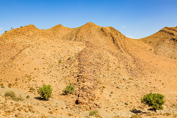 The Namibian desert is home to scattered grey stones and rugged rock formations shaped by natural processes over millennia. These features contrast sharply with the surrounding golden sands, creating a distinctive desert landscape.