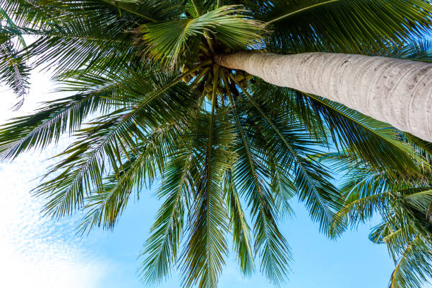 istock sky cloud on air and holiday 637637968