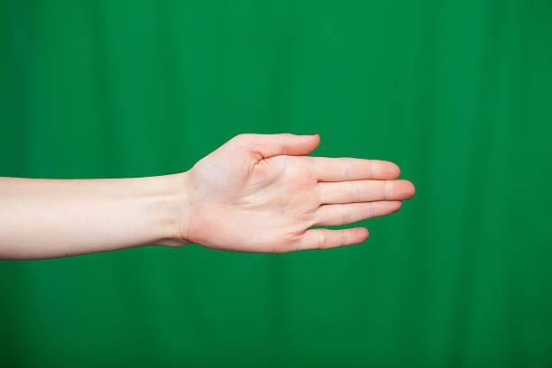 istock Hand female fingers a green background 637638756