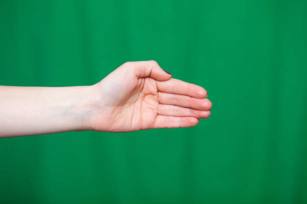 istock Hand female fingers a green background 637639268