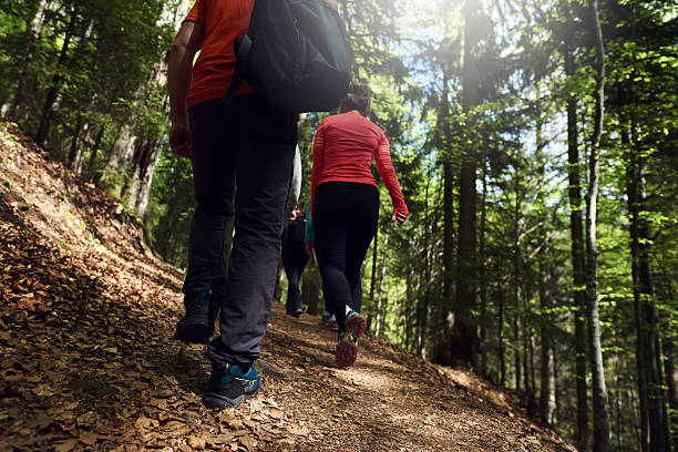 istock friends hikind the woodland 637642880