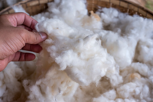 cotton in basket with hand