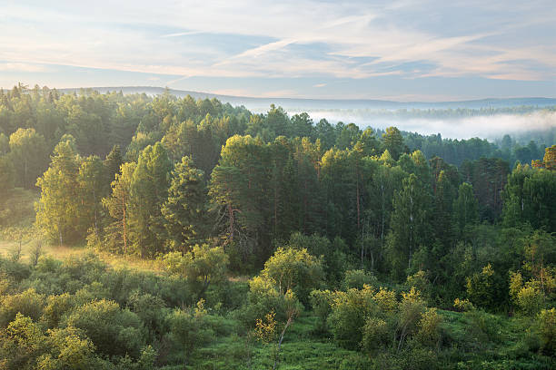 istock beautiful misty dawn in the Deer Springs Nature Park 637643798