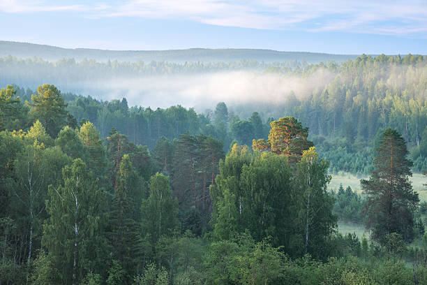 istock beautiful misty dawn in the Deer Springs Nature Park 637644070