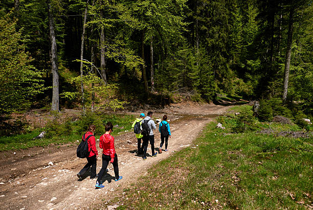 istock hiker friends in the woods 637644494
