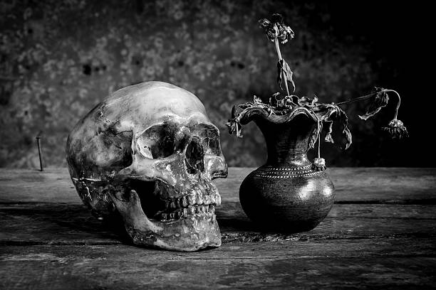 istock Still life black and white  human skulls on wood 637646650
