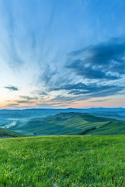 istock Landscape View in light of dawn 637649140