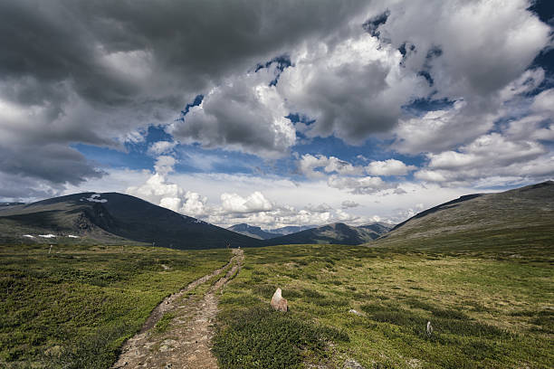 istock Tundra landscape in Northern Sweden 637650032