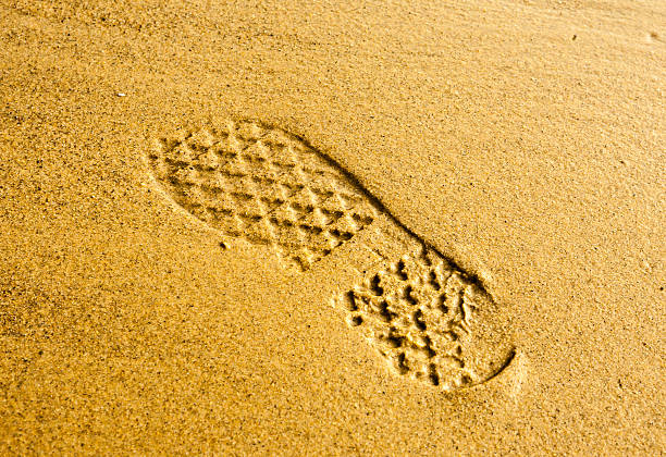 The footprints on the tidal flat will disappear in tide/footprint/disappear