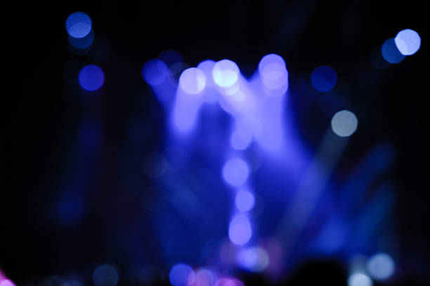 istock Blurred disco party and Concert Live 637651682