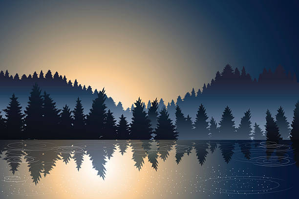 widok na jezioro i las sosnowy podczas wschodu słońca - flowing water ripple day plant stock illustrations