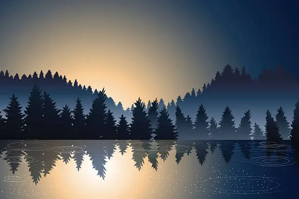 Vector illustration of lake view and pine wood when sunrise
