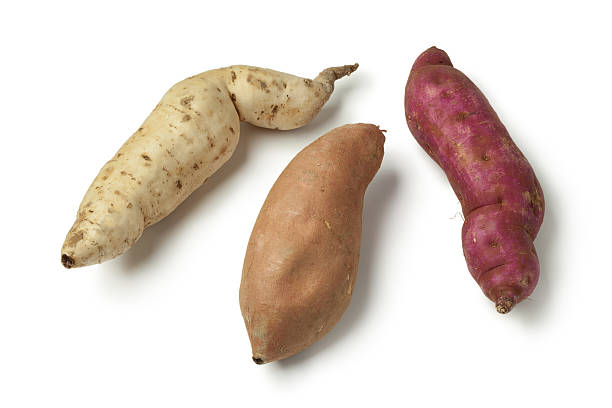 purpurowe, białe i pomarańczowe słodkie ziemniaki - sweet potato yam white isolated zdjęcia i obrazy z banku zdjęć