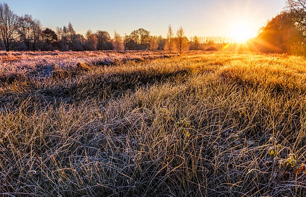 istock Frosty sunrise in Wiesmoor 637654944