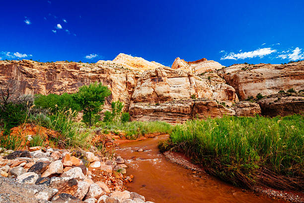 istock Capital Reef National Park, Utah, USA 637658718