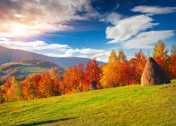 istock Colorful autumn landscape in the Carpathian mountains. 637662968