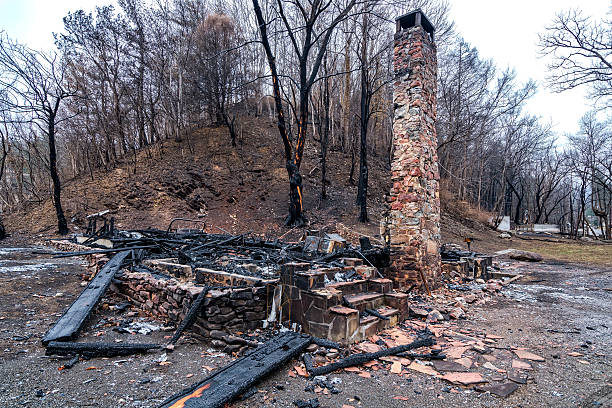 istock Burned homes reduced to rubble and ash 637677318