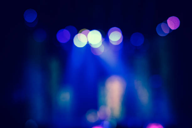 istock Blurred disco party and Concert Live 637677448