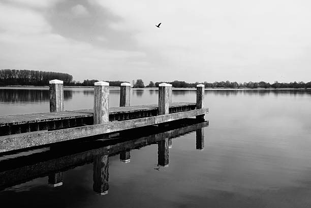 istock Pier in lake with bird in sky 637678930