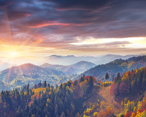 istock Colorful autumn morning in the Carpathians. 637683412