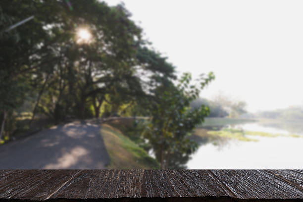 istock pond in the park with morning sunlight (blur image 637686092
