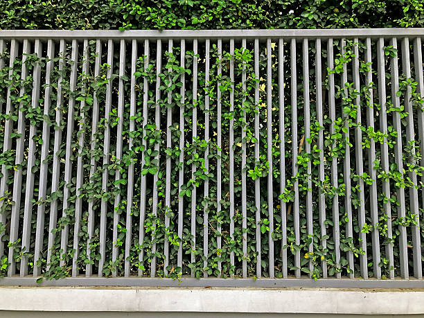 istock modern metal fence and leaf 637686540