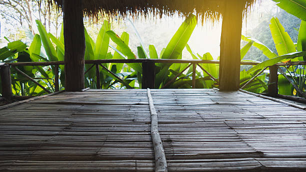 istock banana tree in forest looking from inside the hut 637686592